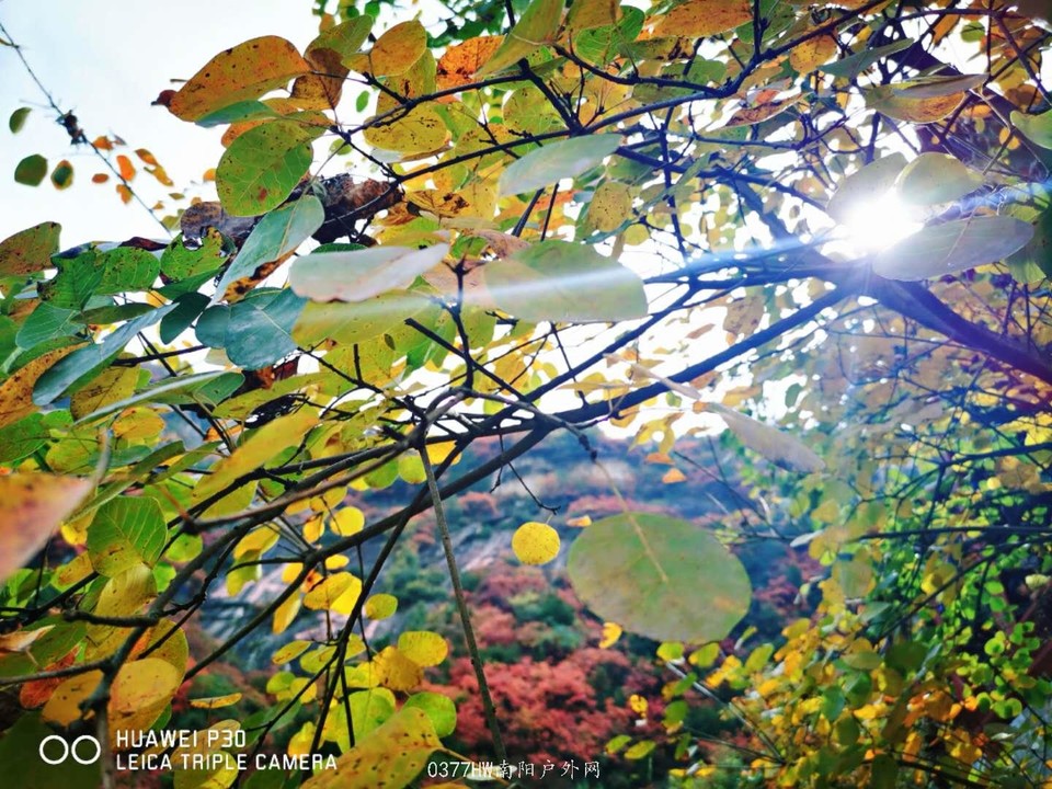 IZXv3Ma3Xj0GupsYlzgb3lFqnVfVJaO8pjZfXS-iCdn4lXjNMiYoaFPSIUMwciDA