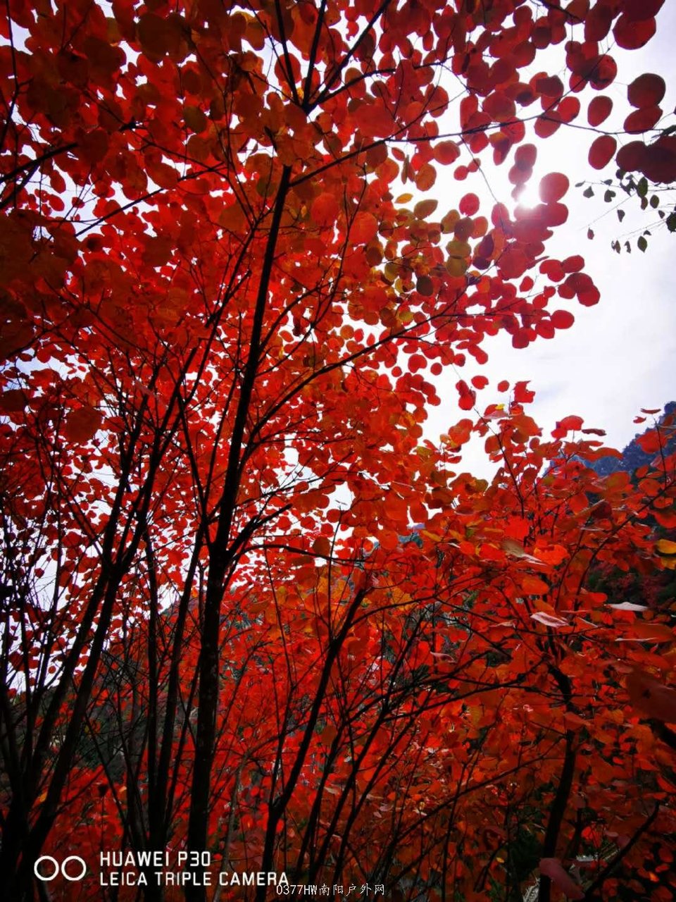 1baJB5u5oZ8x1dqbnbmzDFy3l59-UJqk7ZwwcuD3TgWYKy2aGQN1eZ24ZUtJV-XV