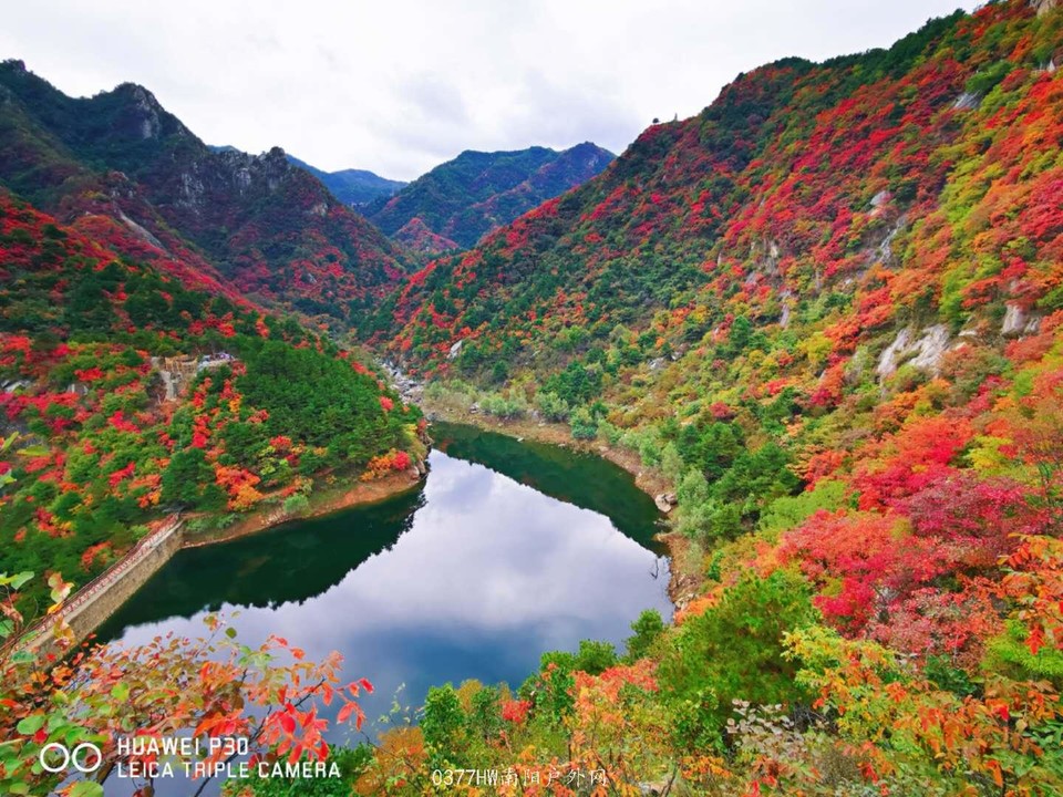 ocro36xdzgbkVpDRyoYBseWRNuJvMcBC3CwarGVXMyMBngJ98QmwYT87t1A5r-D_