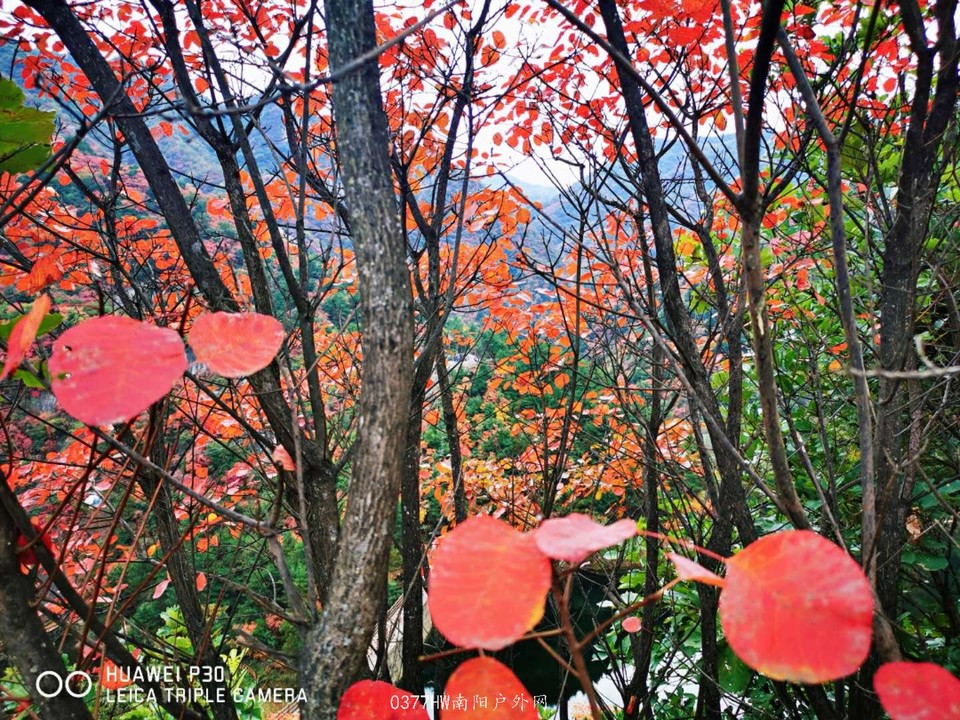 5inDuqK1AH8XYABxszMKfXJItxWk4fpxMbOTeglXkHPPqIcqddF11Z7Vv2UZlq-Y