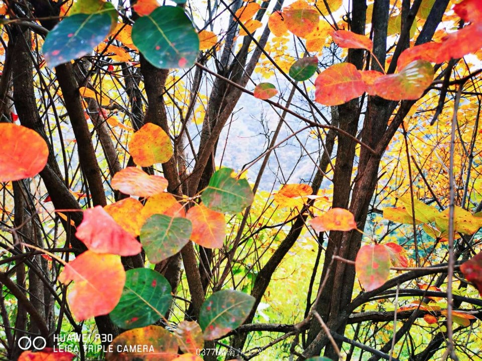 JuE6B1xX1T8AaN3NIDPsiKW10QFrn95318y9vE4sdyFypAxM99XlaM7csyByYiGK