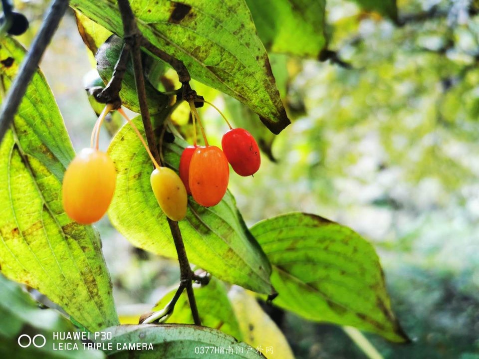 pLEGM7sFjvlgsbcF3KU71cRs8Tcy9uNpiwhxuPrCCXsaJ3W2nTlrgRFRSpwajk2W