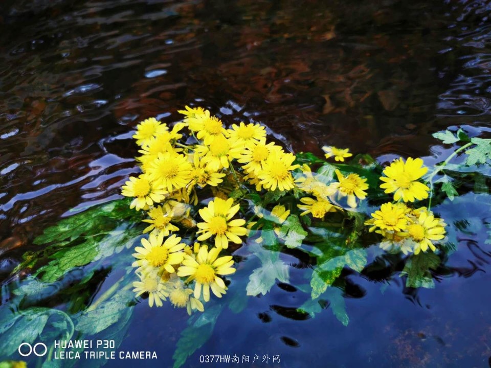 pVTxRl405IuXu8eE1Bz1-BYbEldIvbYBKhJlfk2gX3l-h0HDt2u9keWoBCUxYR0N