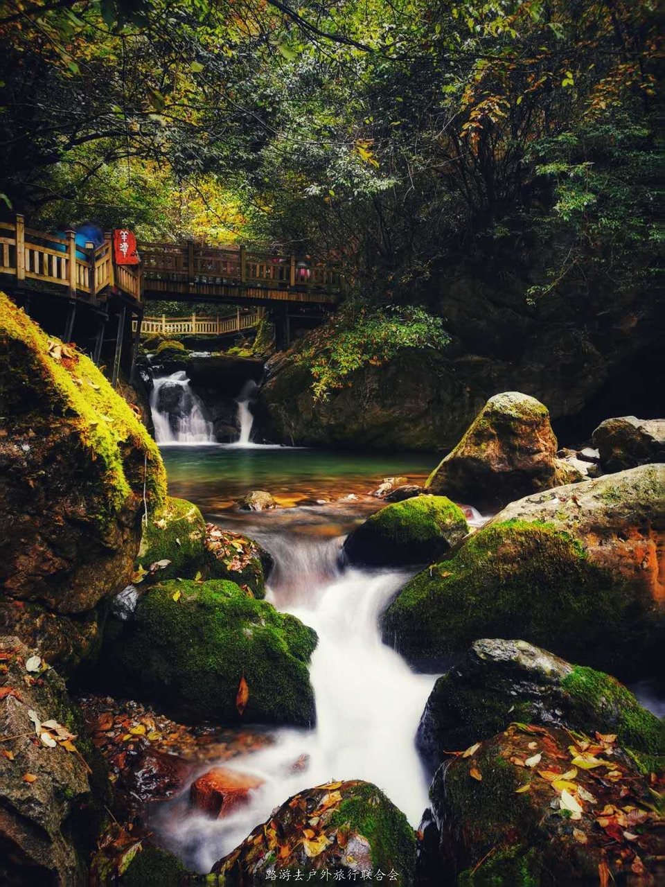 FR06EYM49Ps1o3oiMhY0xMhBYL2Y7AZndgffPp03ql7yZfYN-4dQTePcXNul7BbO