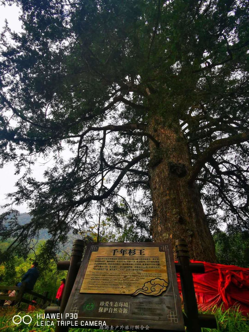 A6YnXGhyWvNiusBSBjBqfnbwvs0cmXylzidy6OasBNv-QlfieTXGRp_5W9lUgzZw