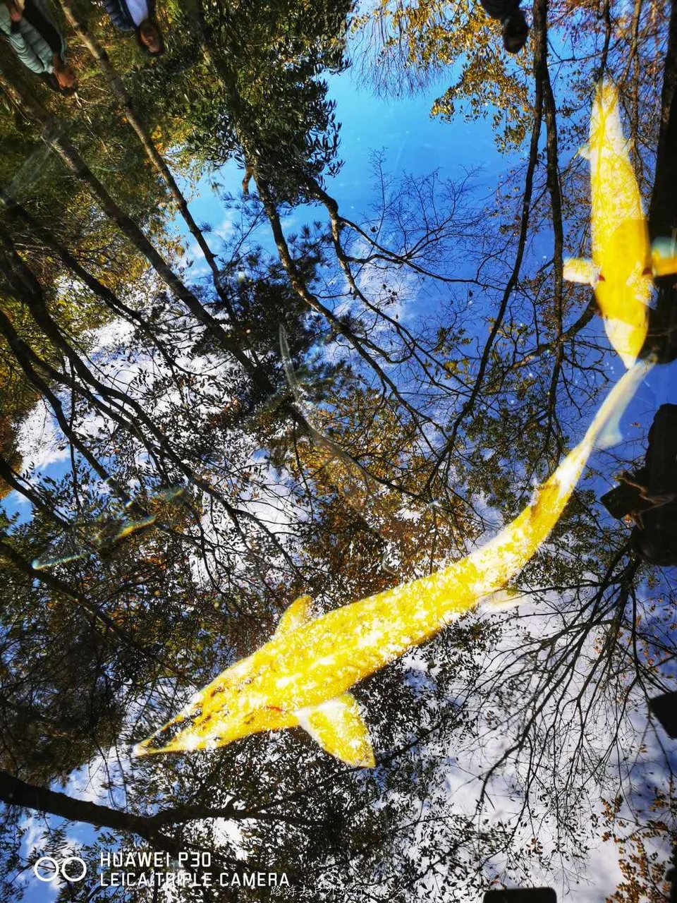 Vl1311hVFwgVrCOhpyktWaw_JH4d2dRPBWTZmt6nUmvq0pe8-DCvqie7TL0Kt12A