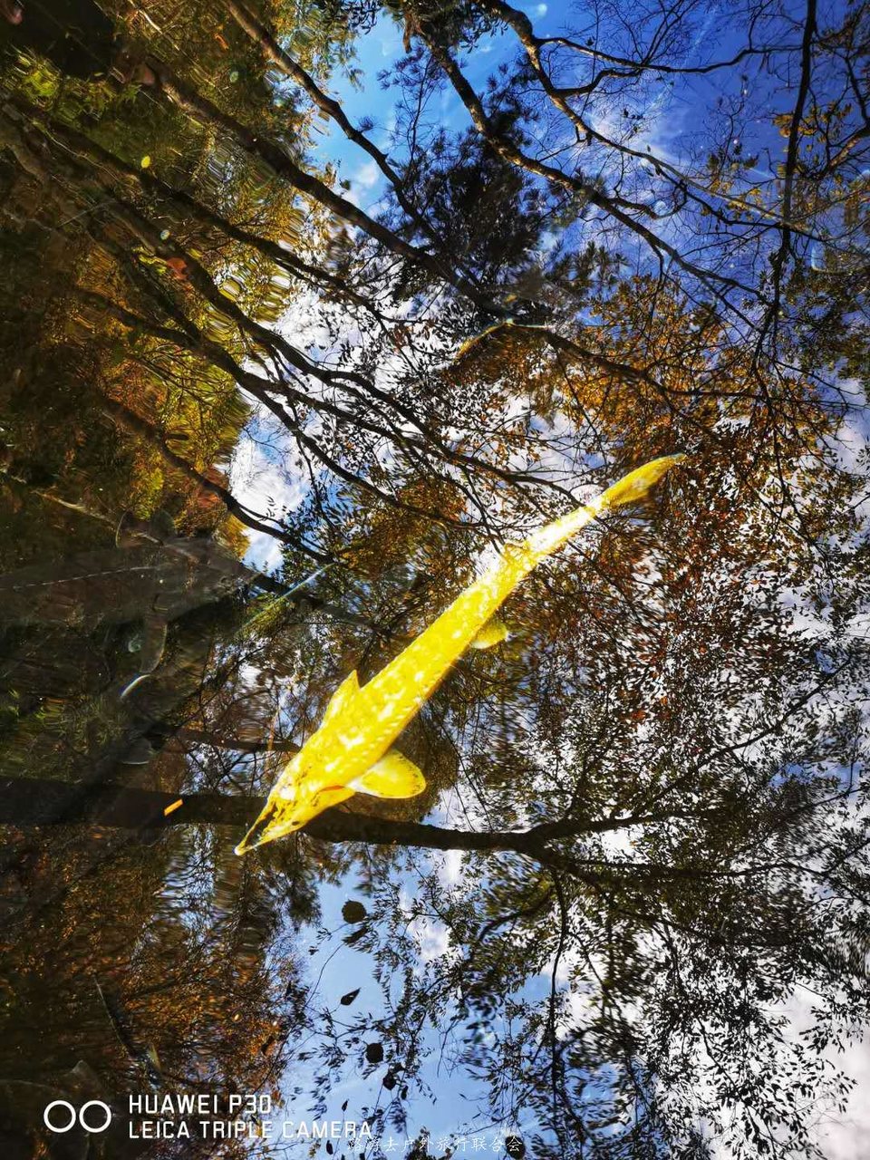 8wR0Kh_fGuapl9pQ9xisjPX_AB0cce5HHdknZVrj-zbjVn16FjQSEz1egJ0rRQci