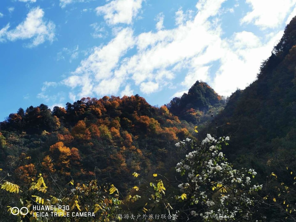 _dPUBAVoqqJCop2pr7jZv0dpyUpNwPM8eI3jY4hsUhyW8jxp2VUua0r7aBsdGHP5