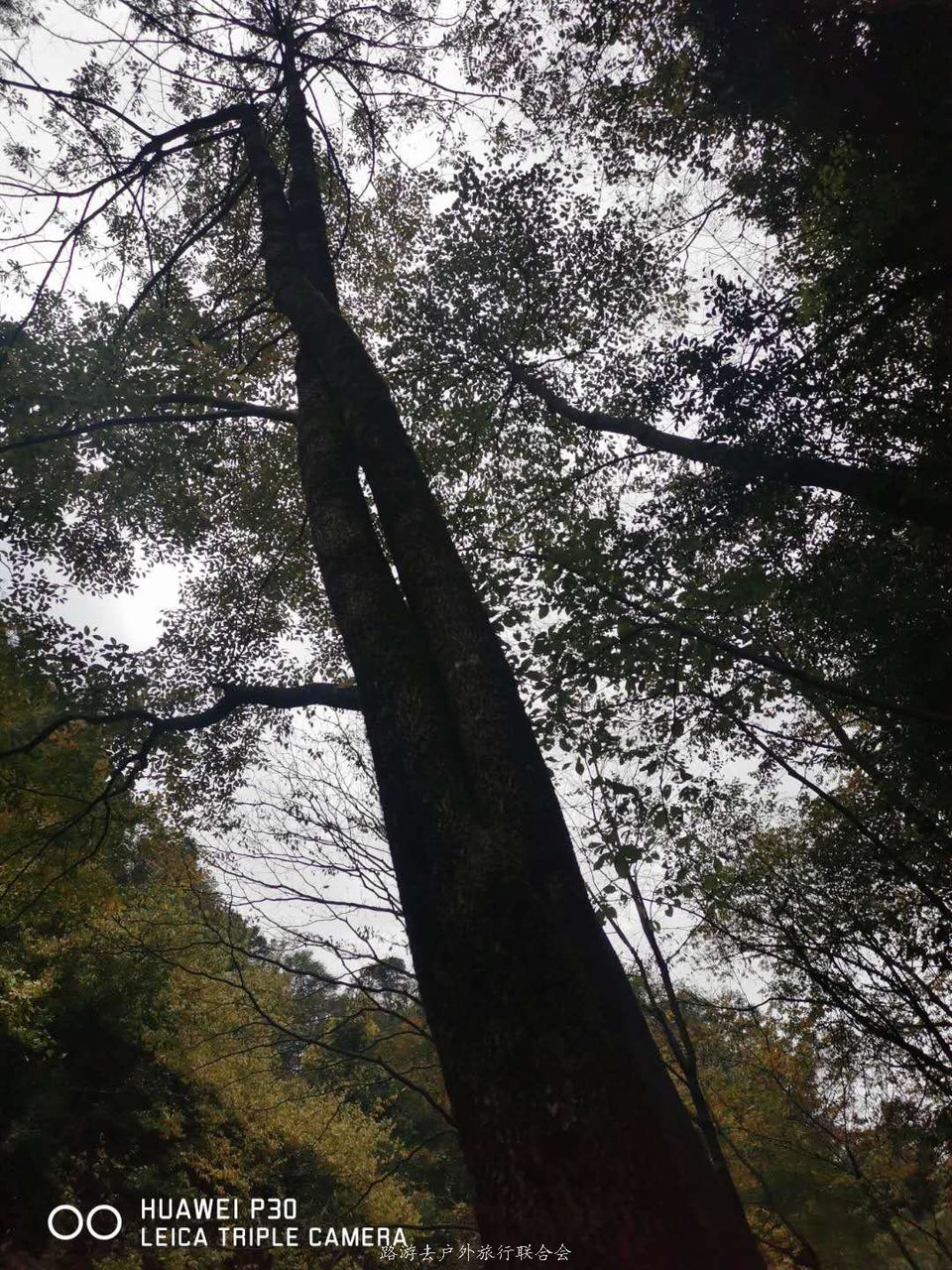 LJFUS0tVroBaH5Jz83OVf3mEGySlvOQ6b5uDQR2IyXbzZi62O8njs-nDq5E1C8IK