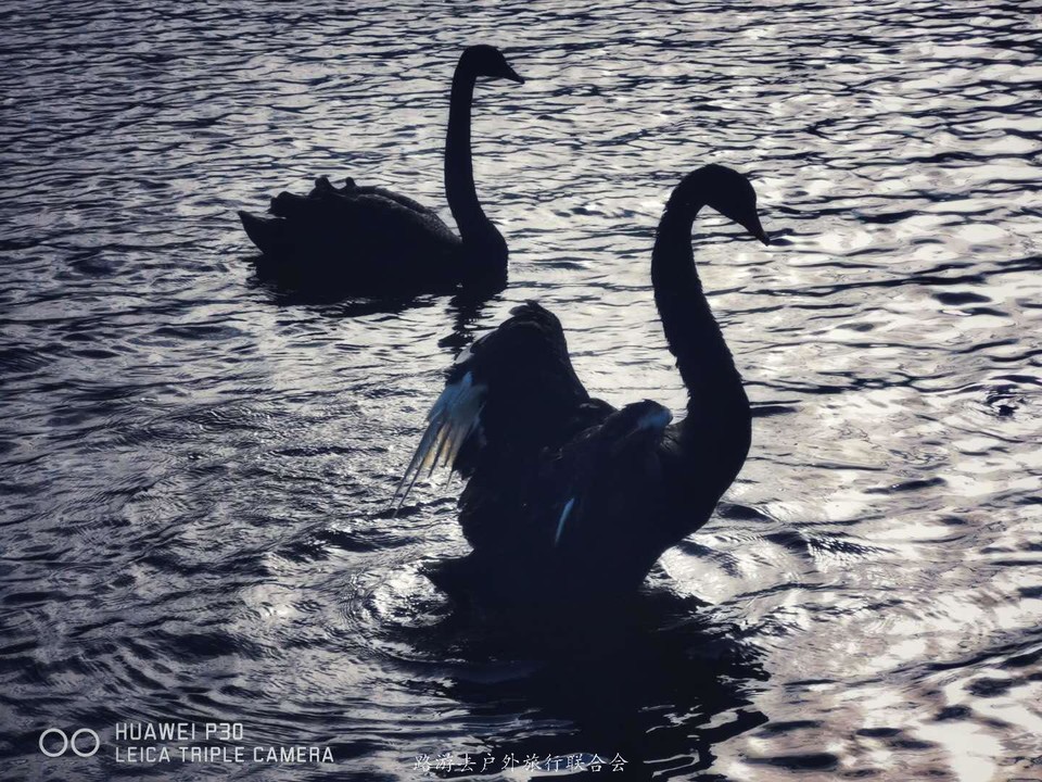 nMFUzPUpwq4pfxCqi__7wWLIRZf_1zPwZKRehOVvfK4rH5zJL3pBTRFXTg44jozI