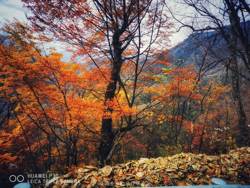 XKRSOOH7rRYQbfXVNXiKYexDhUKMXzhjfMcmGY8StHnOO4_x_K_nZpqg-xLkh-lV