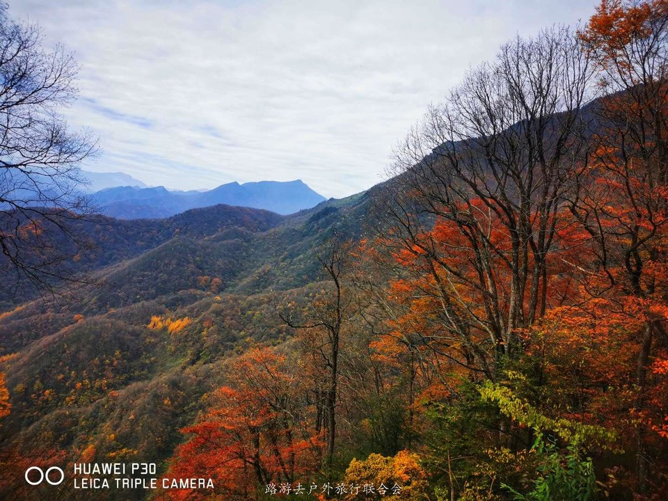 4xuDXb6cC8PdCicNfd__nv-_vEyF8xDTqDMPj3MZQuWDhB8Y7VcrtjNryziDJzGW