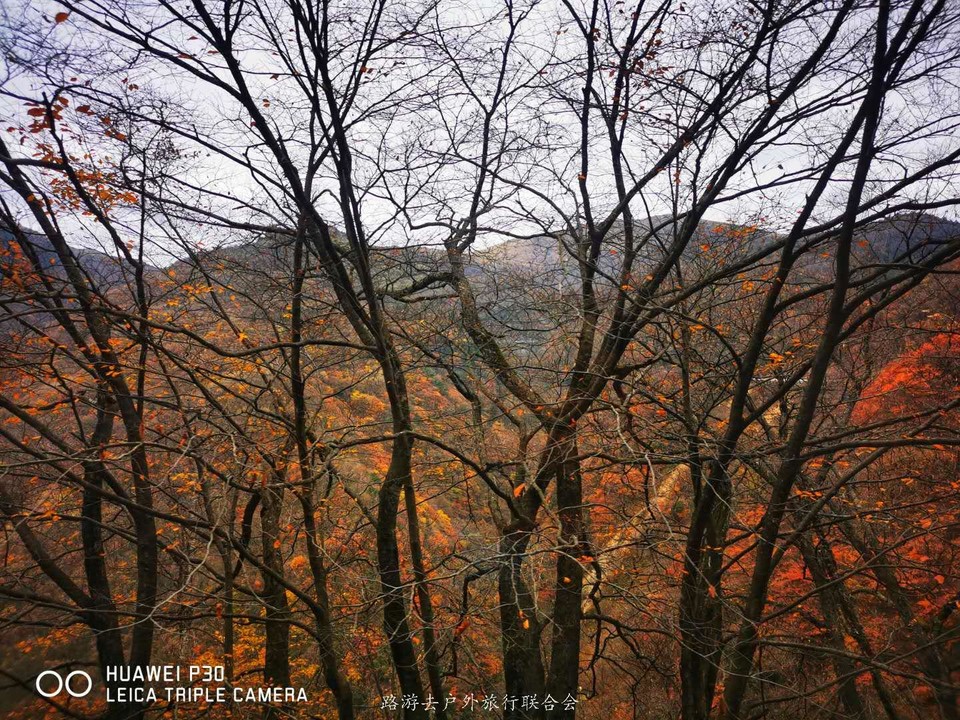 bSAcTtnbeGcKVU2hMpFXG-ec6vKTbeQjIdKTGAiVCnX6mApYmjZpE5O83v8FIizs