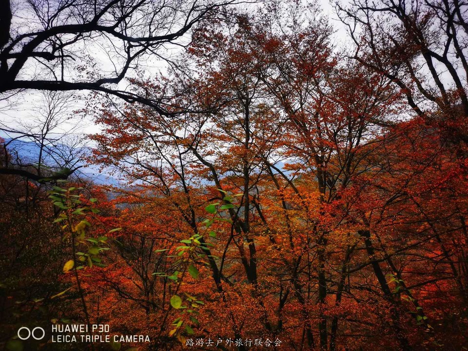 Vx63Mny3VuuPzyjxDlhIZ5EALAmdpEpVe6SUVqCXeUo-C3HRoMA4SKo9iSkmNo4W