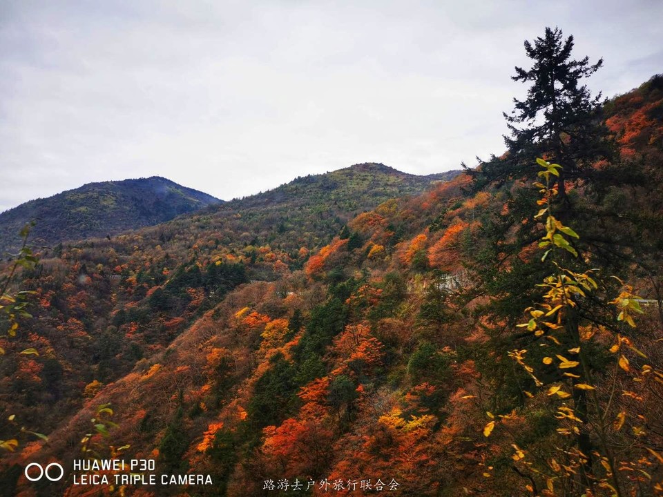 z2Oi6GDd3SwUPHLUGn4w12VPtn8kt9gsjHHXOh-CuVx-_DKZK_JdgwgLR7YGM9th