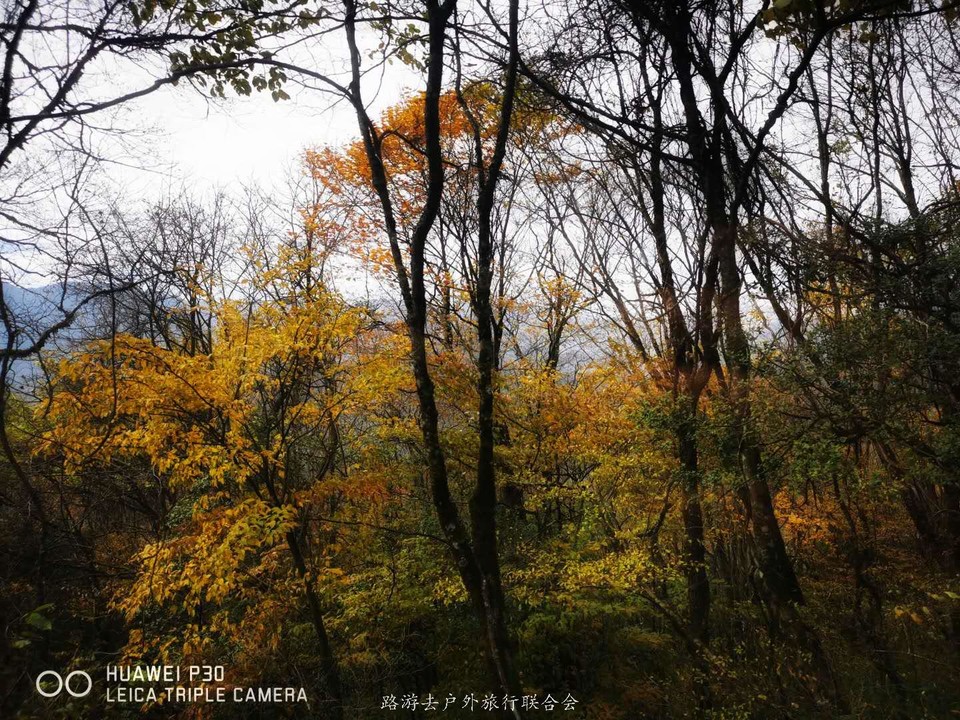 -79SPDFaG5u08tINm6dVzU-NuQXa8cik_XaCjfMyojNmhvRvdLbhjxq1I2SGsLxc