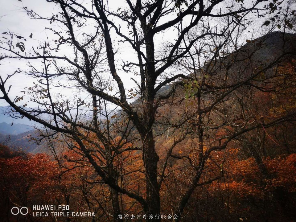 4PdT2aE2iLYXVfv4gxotlKcgVrxA9_mycF9QQlABby6VO0O006e8RsHZMBhFD9U-