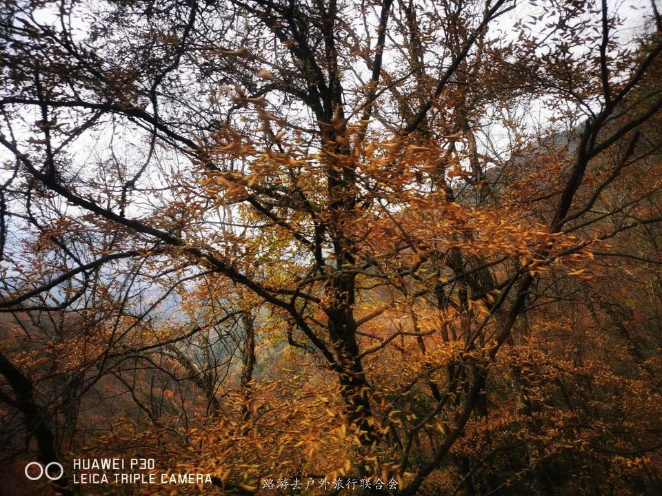 LbP7lTCu08BE2zA-egRvqcaghc1167baG-1wfmFU0HzJASfLMqEo5mqmQBJ3xt7x