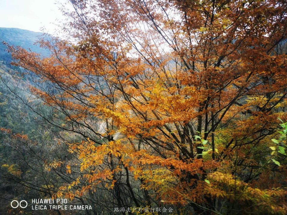 C_zPxIWM3NM3U_r9g0GmyoVZ7JXAUxYF3JUVLhLZr4QymXj1S7vib3c6dIgKq3n4