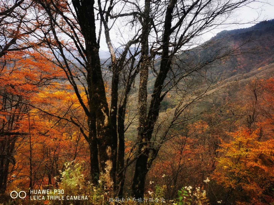 l-3E0RwkiOlhsOIHs20zgVFp1jGxb_4YYiaMJb-W5P_4W34d3vLyFfx54gWau1-T