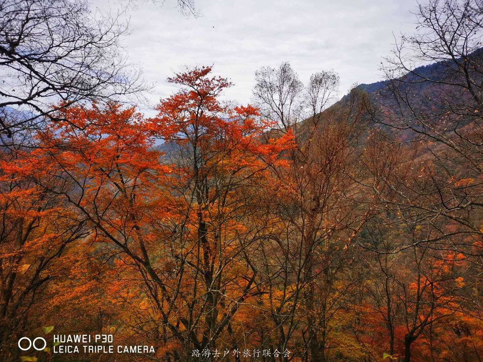 aLpycEdZoHn-E4QYhLrbLtfs6RwHDf_R62EJtcG3jE7LZEg9W7S6PozgKodXE0nM