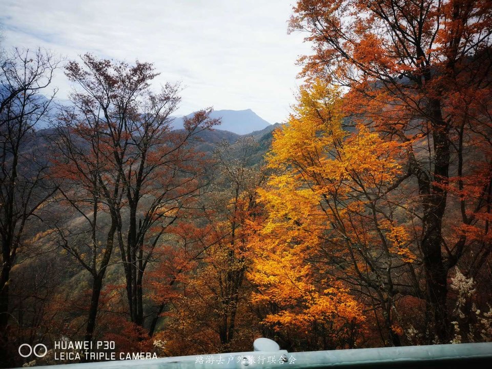 BvRjqHnpp5dI0NIhFArzRDsqhbcVzSQiIwtDgvg294huP9O6hZmqMmVKrQPbHaQS