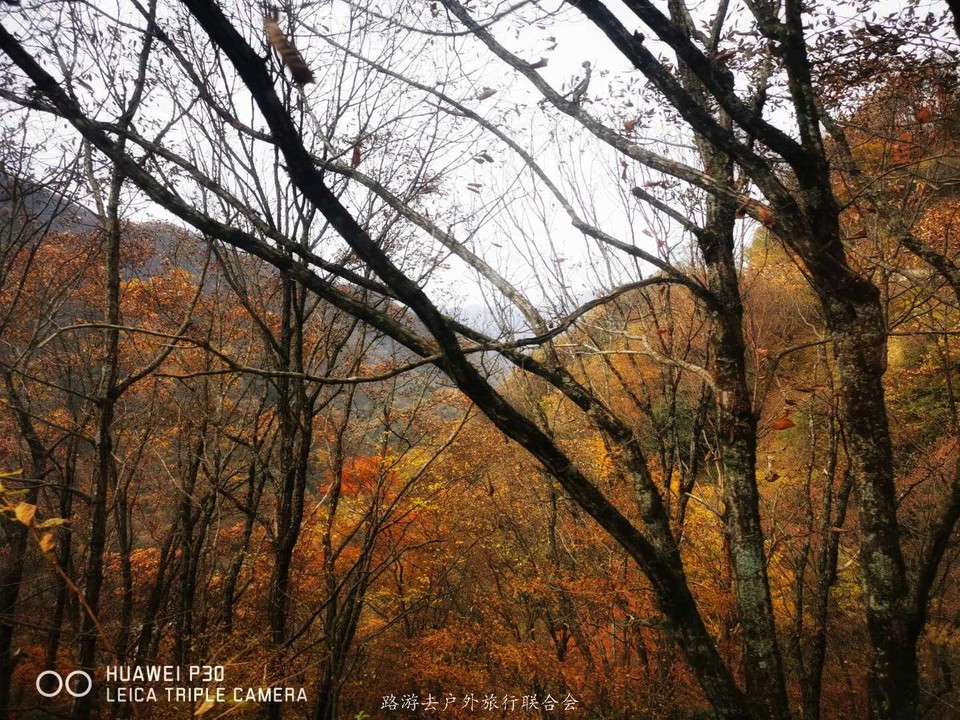 3dUFpbgGOBho0MpMt09hq1eQCBrn_G1R3lz6bxFLsnvQeo0z-J6GFKA8eL29i-He