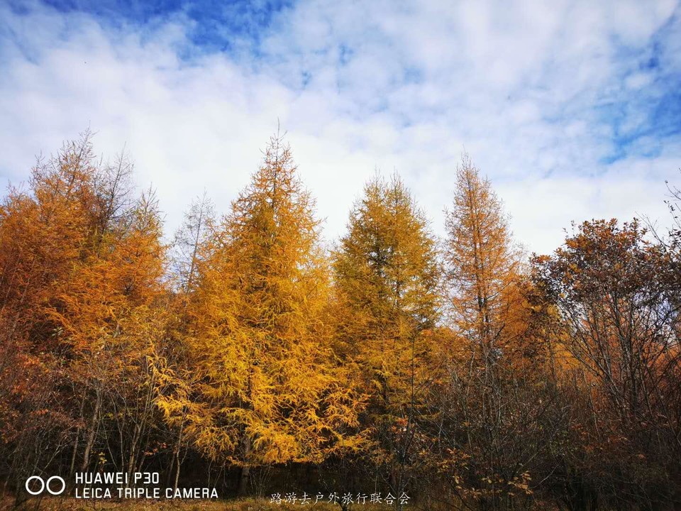 fKQYR0v0jKG5k_C4AG82OhnaOnuGNj_ou8jReCEf7Xww3Nff5A8FWBSOOTEU_i7g