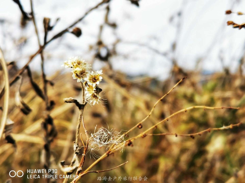 XCxSmoJ8gI61Z991zeeMnVCLkvNSciukDHjjwpW5zwGE36Vv8E1086kybCiRN4JX