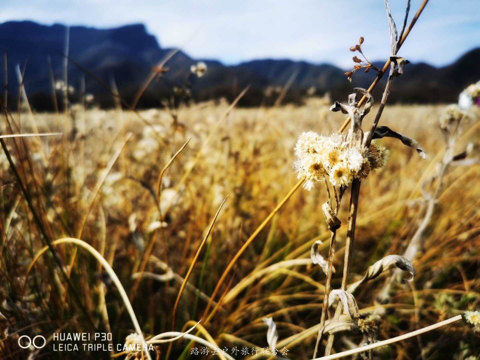 l6e8Q5Icu9T8LNhu7YgZ5zojl_I7BPH1j7SjBMfvKVaQsHZWNMTDO01FC_S1hnP5