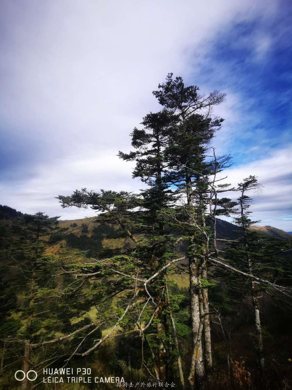 MUSDl-l0r75Szt6gb17soQ_9EUzWBArMnP5isl0FNnHtB5nDG9vCIYOMzetB3f6v