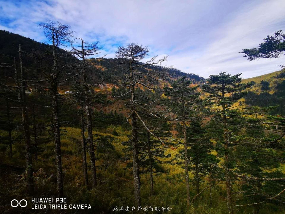 zgJfTC3QQGzmfahlCVZd6mNd1uaSkvlKZdTTK0ThoVeT7C7RNHwmPji2ZJ9A0Qrd