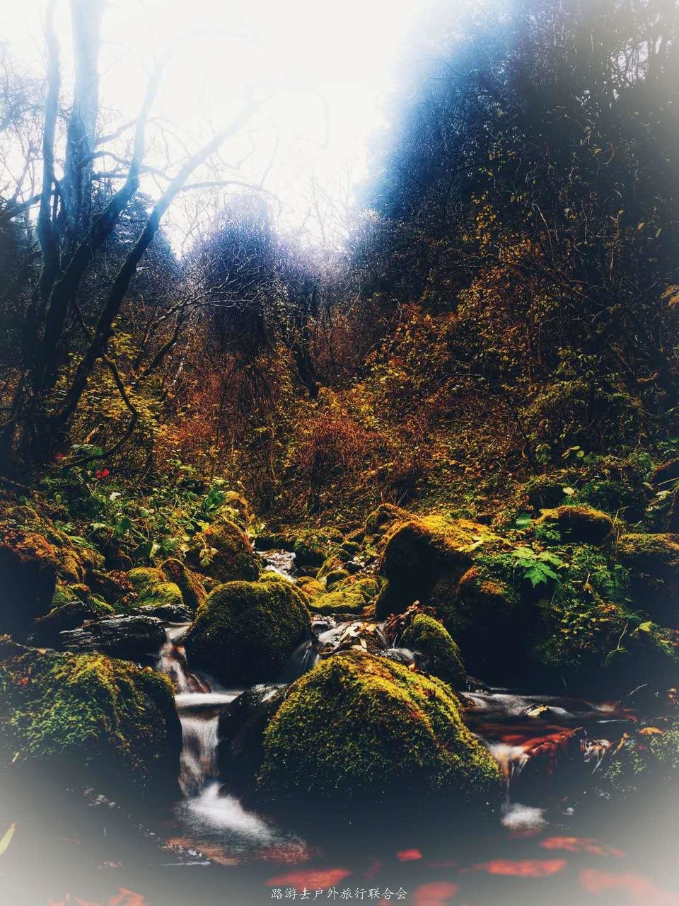 4A1geT9ec6SA7qG4pU57puuBpxoEICfB4TtSWc12SDxfHiZhSPK8PfsG9jotuAWS