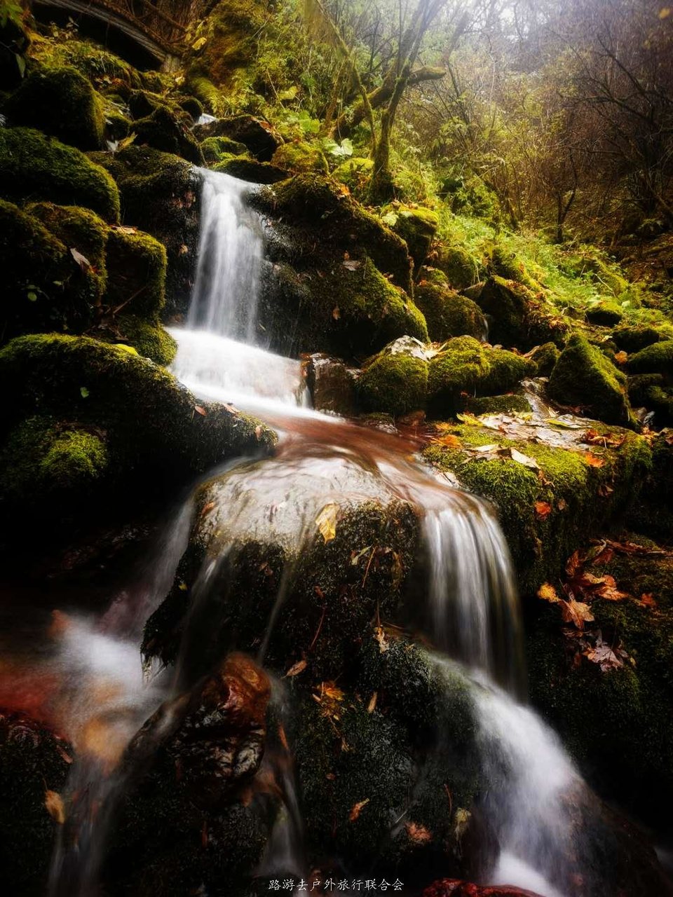 FSpxwug8e3Cxekusgo3DEJPqzWvBlIqQuN9LwP1B-GZ7EaYy-zZdUWOOrg6ec85L