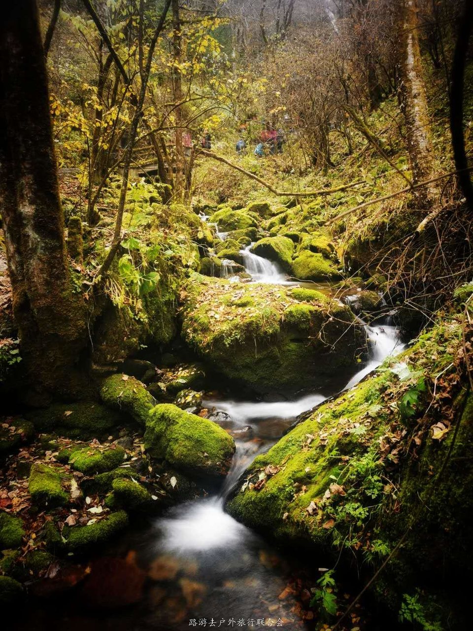 29jVYqvg-tQpiIbTAJIuSez3nXWqpwwE1m_JLjiLgHzdmVc8XXlXckYar4RyD_hS