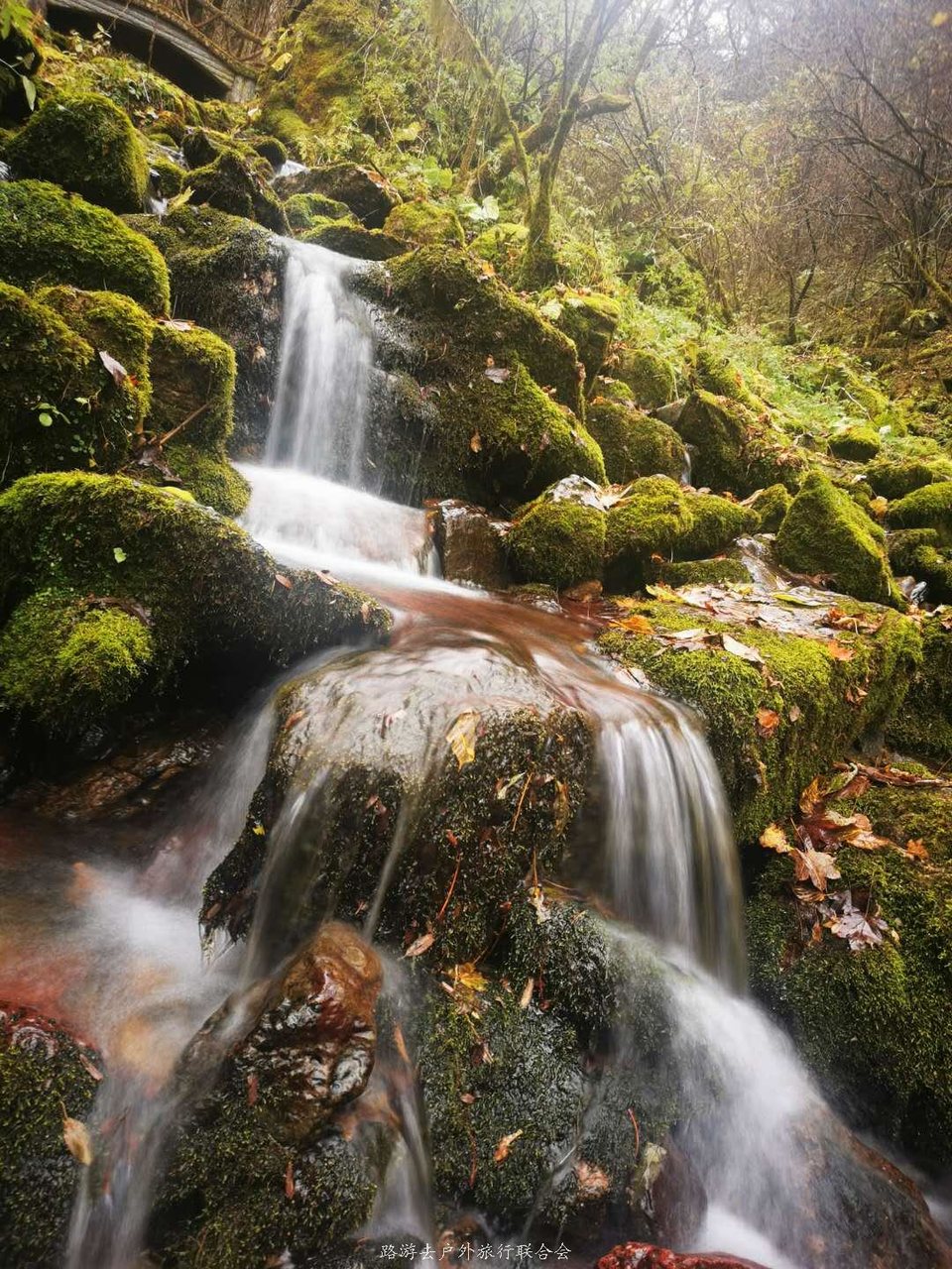 EF4X5F9DNoqHC9KJFhegAr69ZTLBMrQ_03bf4206nV2GdDw7DCfIVhsbz-bw3gkC