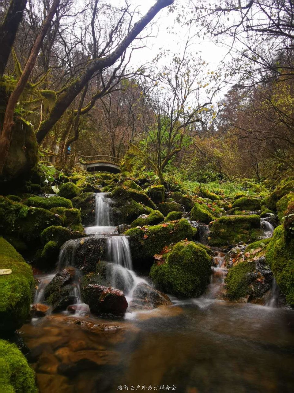 nMFUzPUpwq4pfxCqi__7wXR8maA97z_PitK_prkRI7Ly09j582DaT7kLzRlsl64k