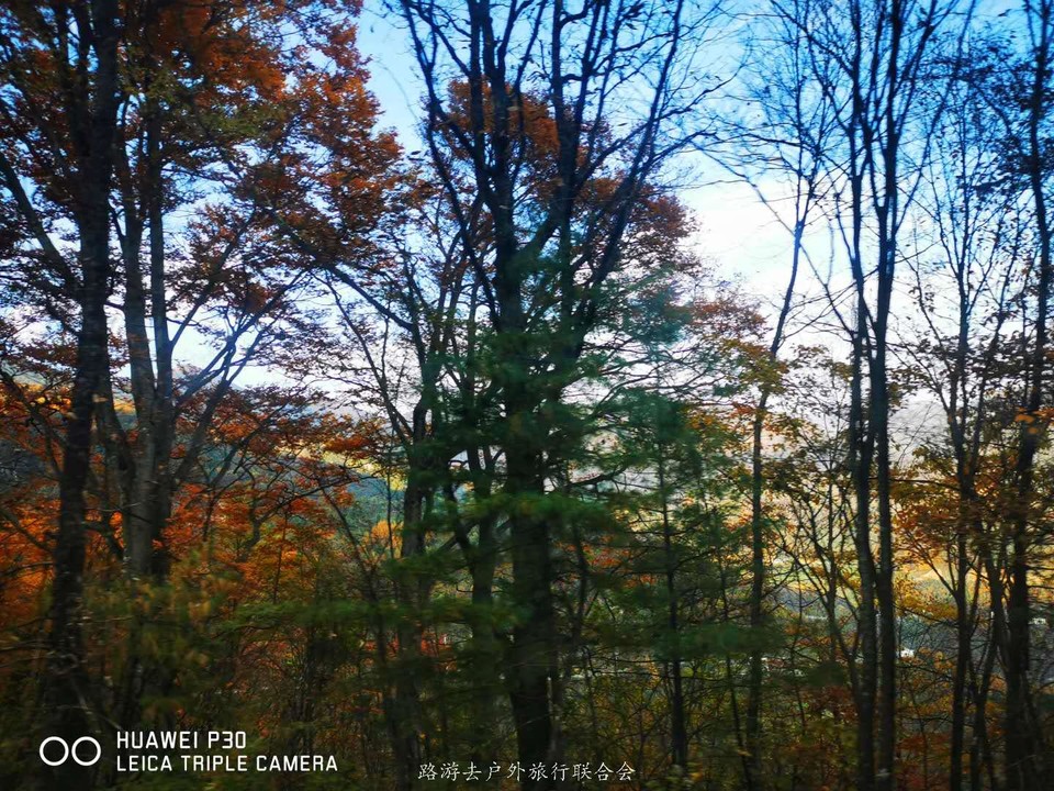 3LrCMojzLXXUmb9hZMtg8U1SlvETX1bgq1e3x_CfXc95_Nj6jYfO_xJrmy8SItmr