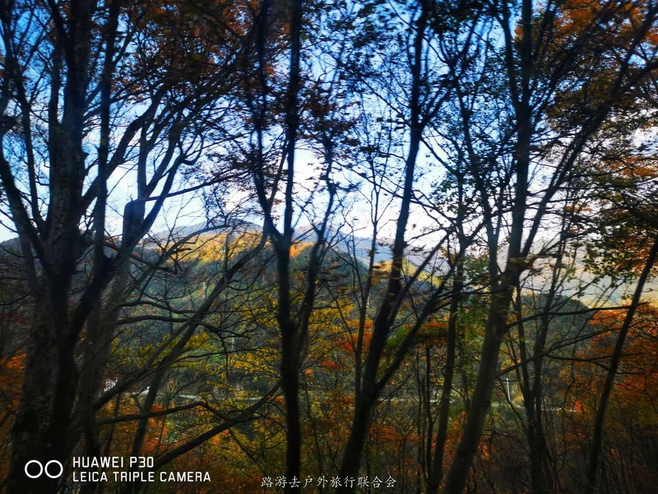 vApJ1eOn36IgC9snoZ5WD4JeGkHLIkCKkIiHXTaK_VGsVdx0-yJbSmjs0hi9TGwj