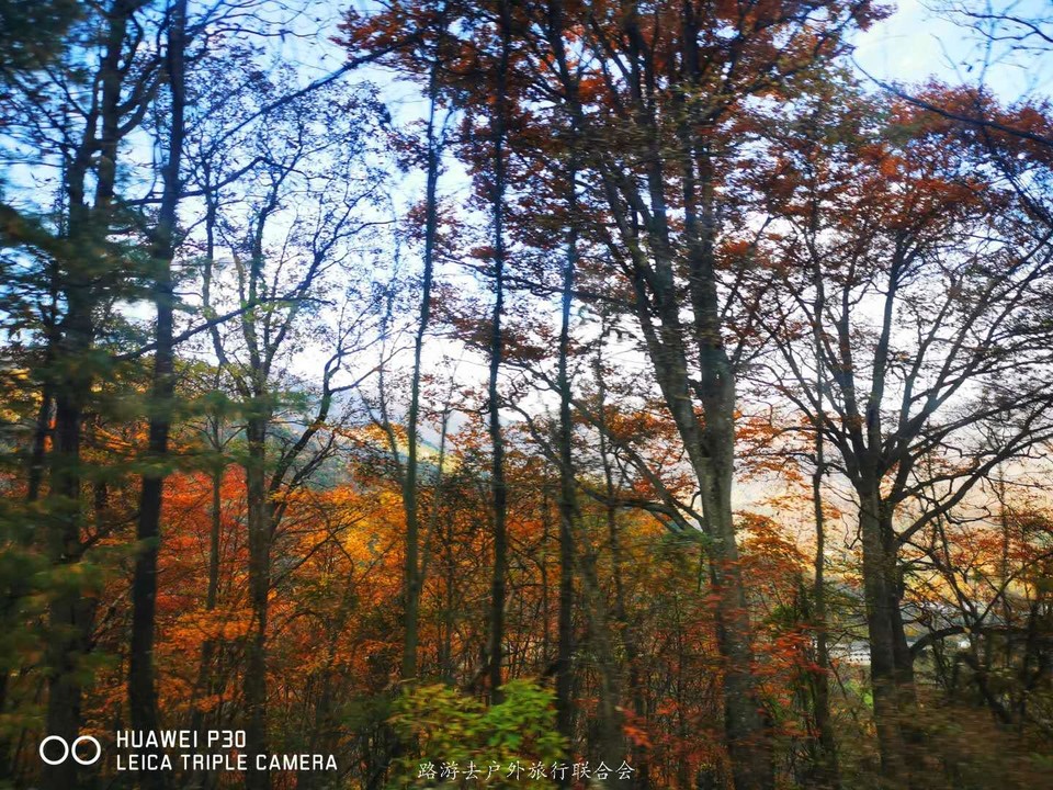 yemDjNaa6zzybvRfqBS63uN3E5MhotvdIfRmpDxJPB1lgvSAZ3knEo1ruwjCpWKf