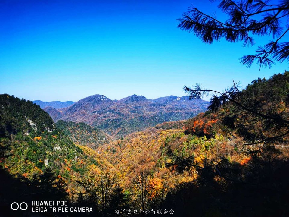 pKnlh-71z0SjnMAgNaYH-voNfAYq-T1WbYoQ9uU-LLrm54HTgMrwR0o3lCLPp7bs