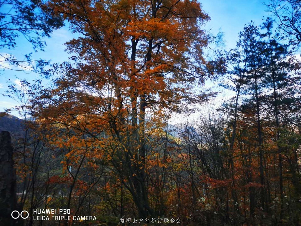 DP_AVsNJLPIpb6siBX-lokDJiTUdjIQYBX_xslhJCv4cbetKe-jOUqXJUZZPJX1f