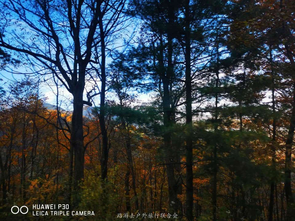 7ZUGpckU0ENTXVjaaT3zbp4t6xDCKlBHG6hXf61QoF4RsfOXgrFZGs20VwBfub8B