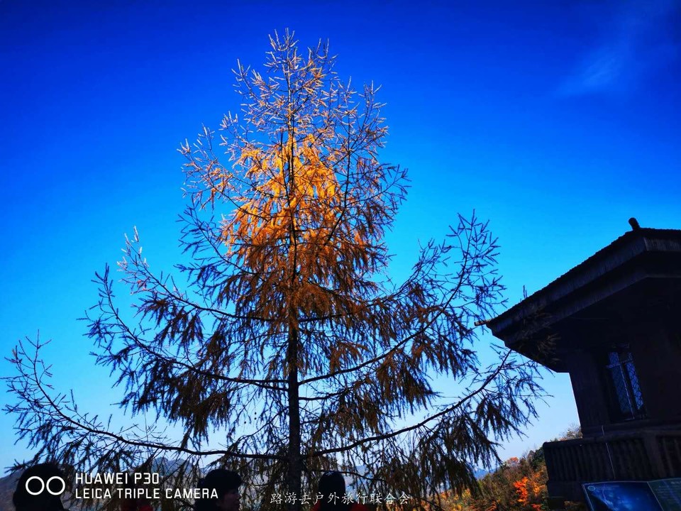 ajCwkWivdPh1tjQ64b_gJr5K6BFW2Z7Mixq7TVQT_X2T662gsNjMtVkFFqfF_goy