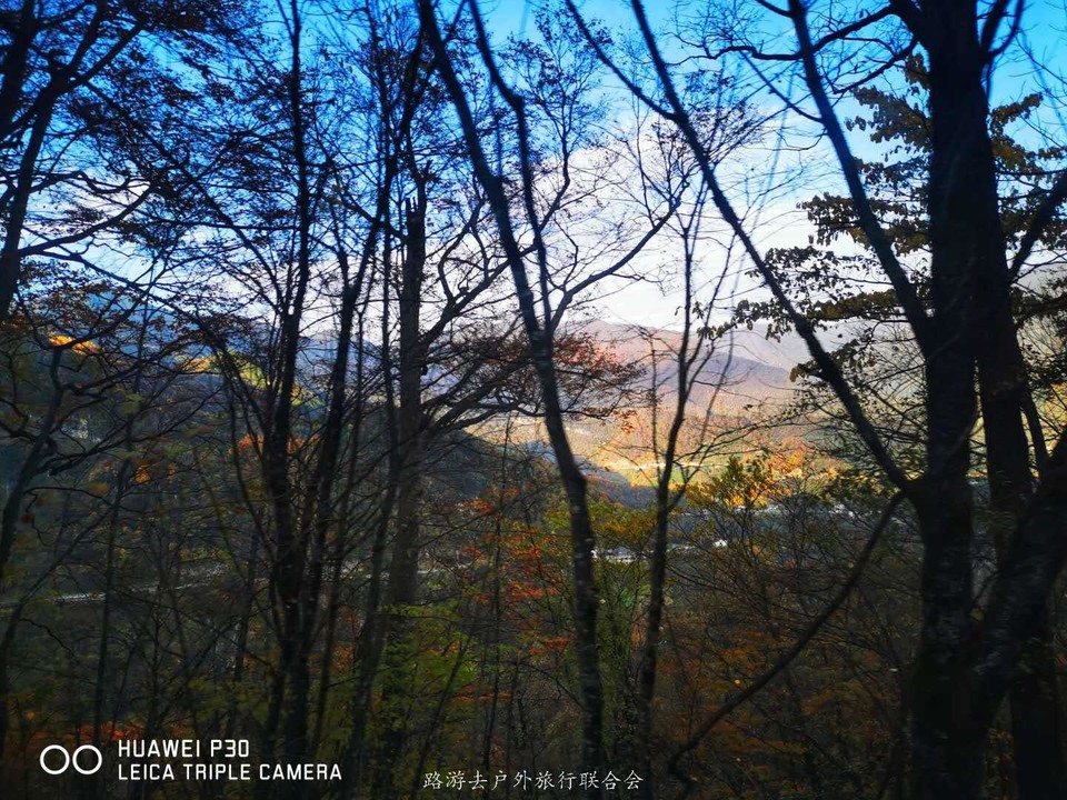 t34NN3W8Nu1Sy2riwMnBYHC4TtnOMJswGmQKWHW7gXlO_GJ1C__zsarIiRkGMwZH