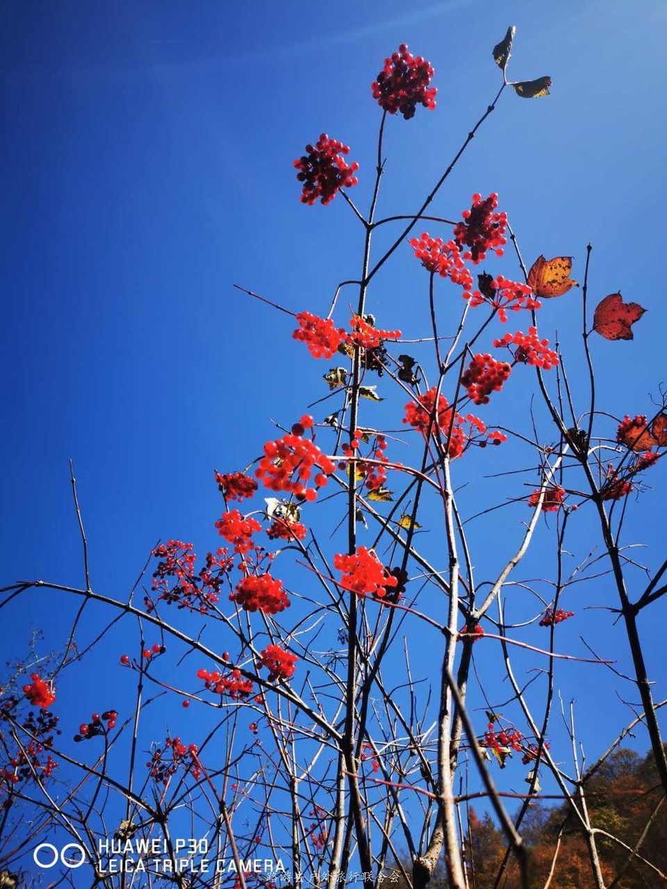 UywfECc5OjSiVcwwNhiWwwIYKoJTb2AU4O9-ugeP1gKUSwkw50WEL5PzTc6SZmt1