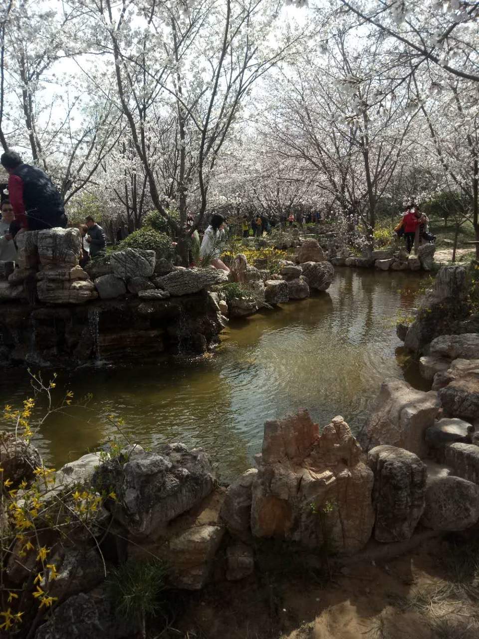 xwZ8DLk_9soKgUkMIrduSs24SE4ymLO-gmtDAL5rtPYUK8DMpy7GAUb8mcZh1Y04