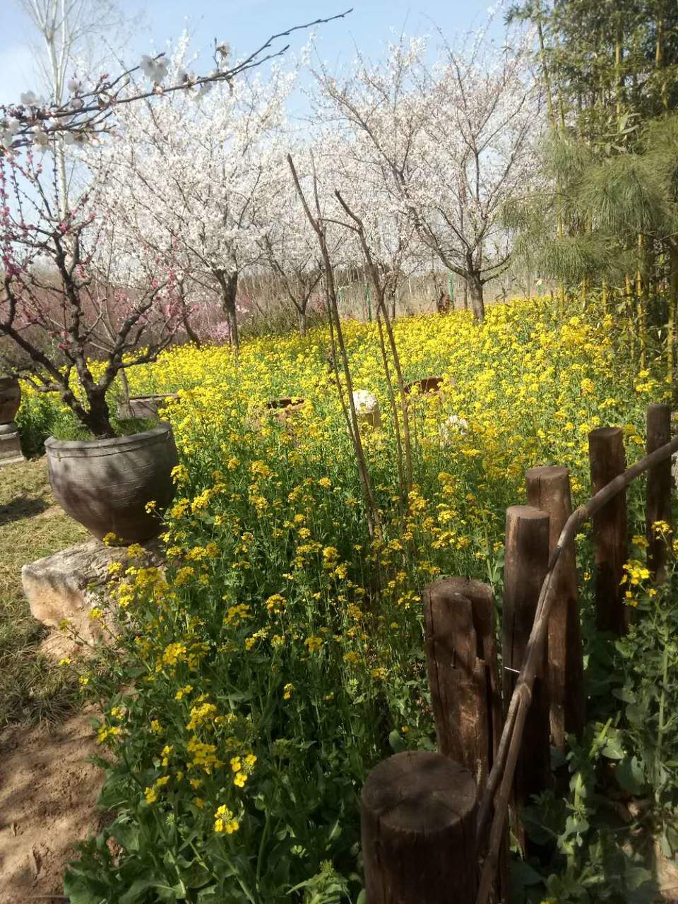 su4Ilm2XlTcj93tjbeaCVTcyBpXENaYQGcl8z47mwM0sRLjWavOEM9nzd7nxe659