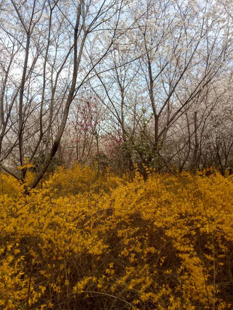 e6L_VdtTdmkfcOceO8KlpvV9SeTO-vH0m4DH0Zy6YLtkKZgyjUEwWeL0QIzKOC3q