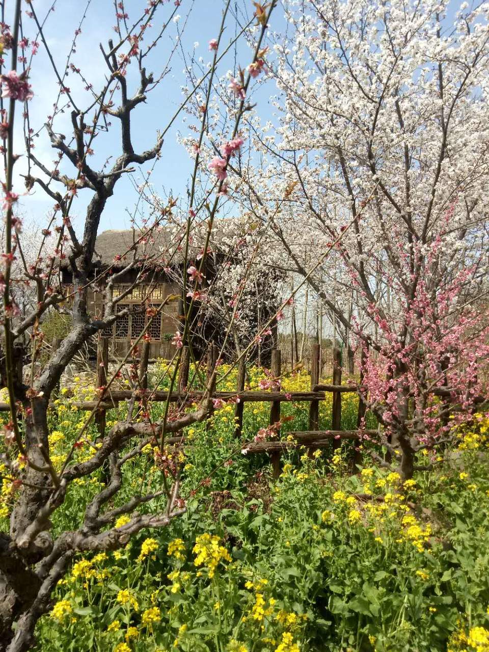 Up_CxDgtYn-_HOVfipc8IUIg5ZvneATbbzKUqdpu-bAr6CTtlSthVu-dUgfsaXYN